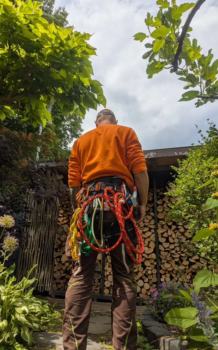 Ausrüstung für die Seilklettertechnik