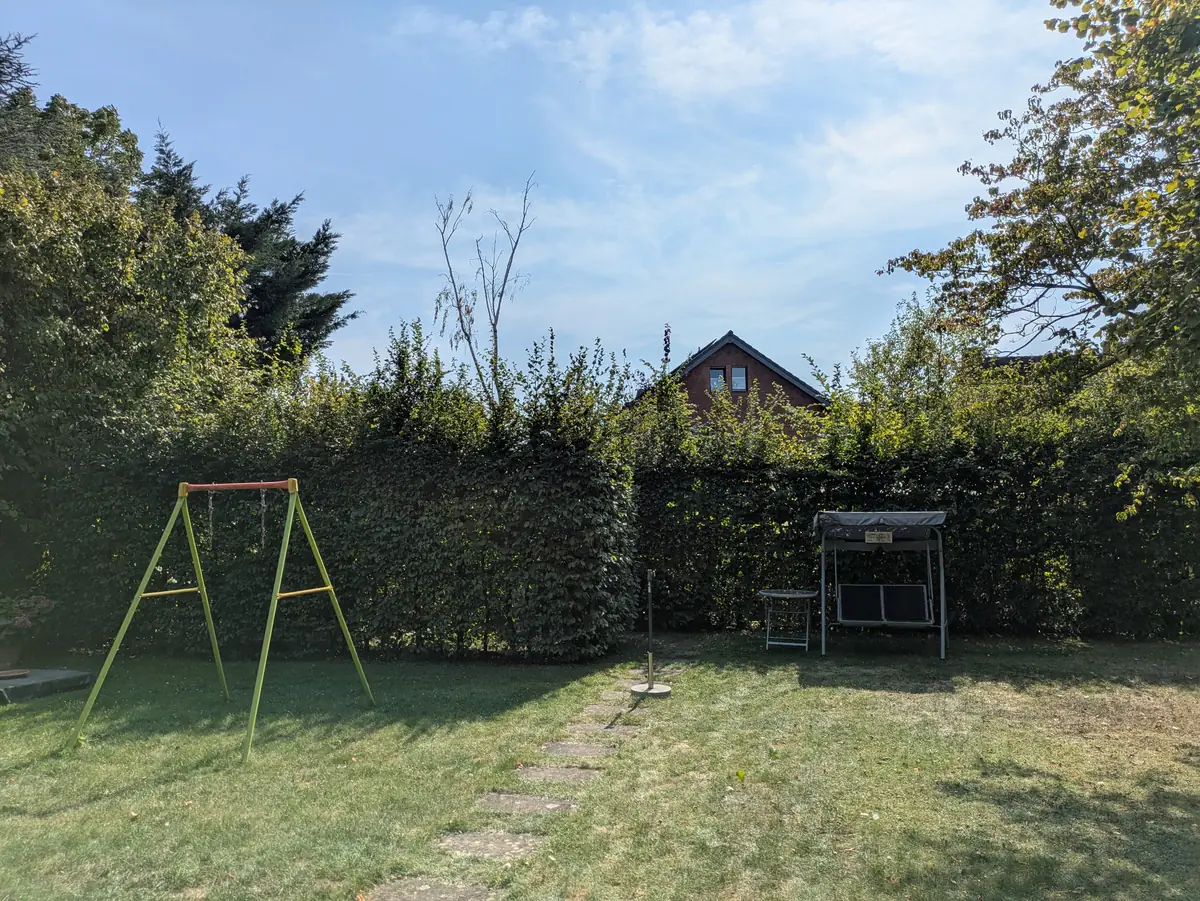 Buchenhecke Kierdorf – vorher