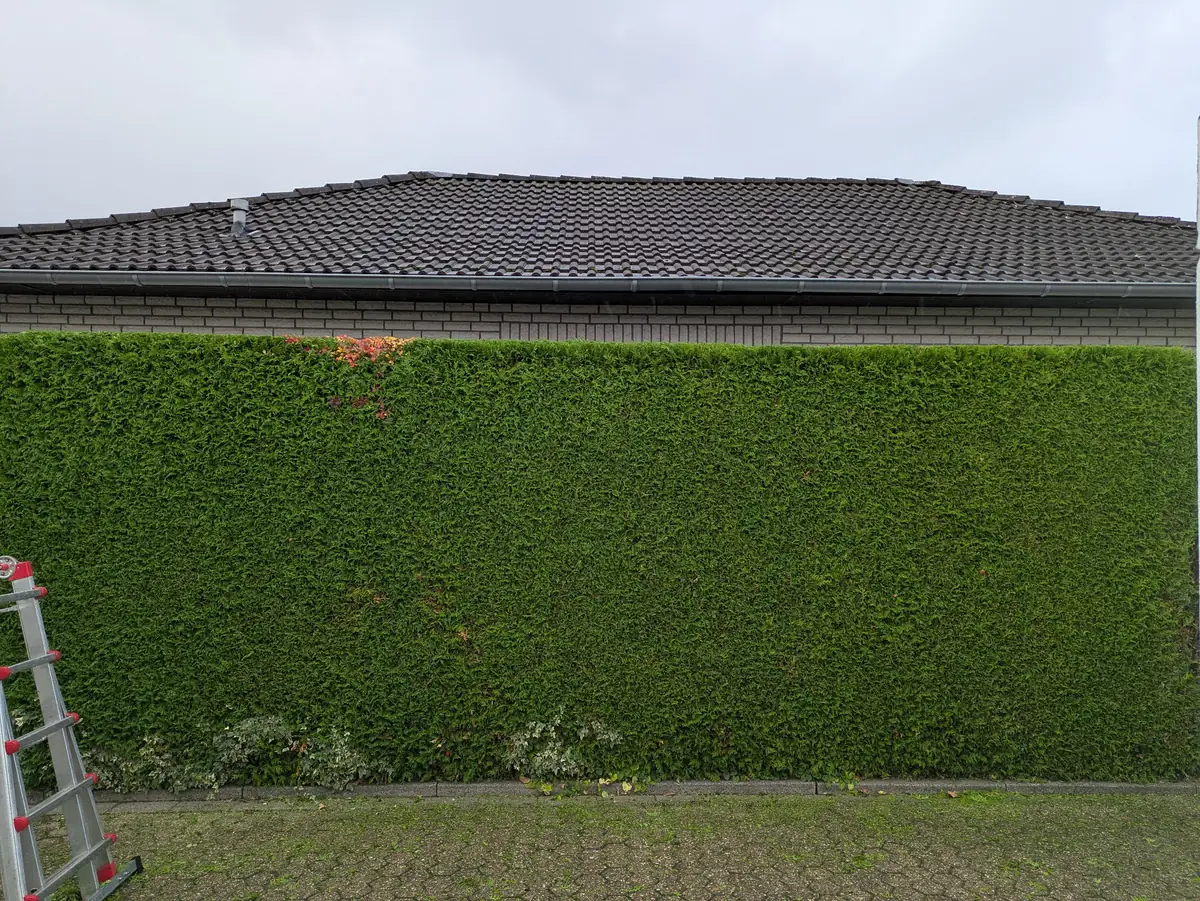 Garten- & Grünflächenpflege – Projektbeispiel von Gärtnermeister Adam